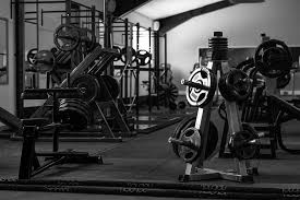 studio 3
